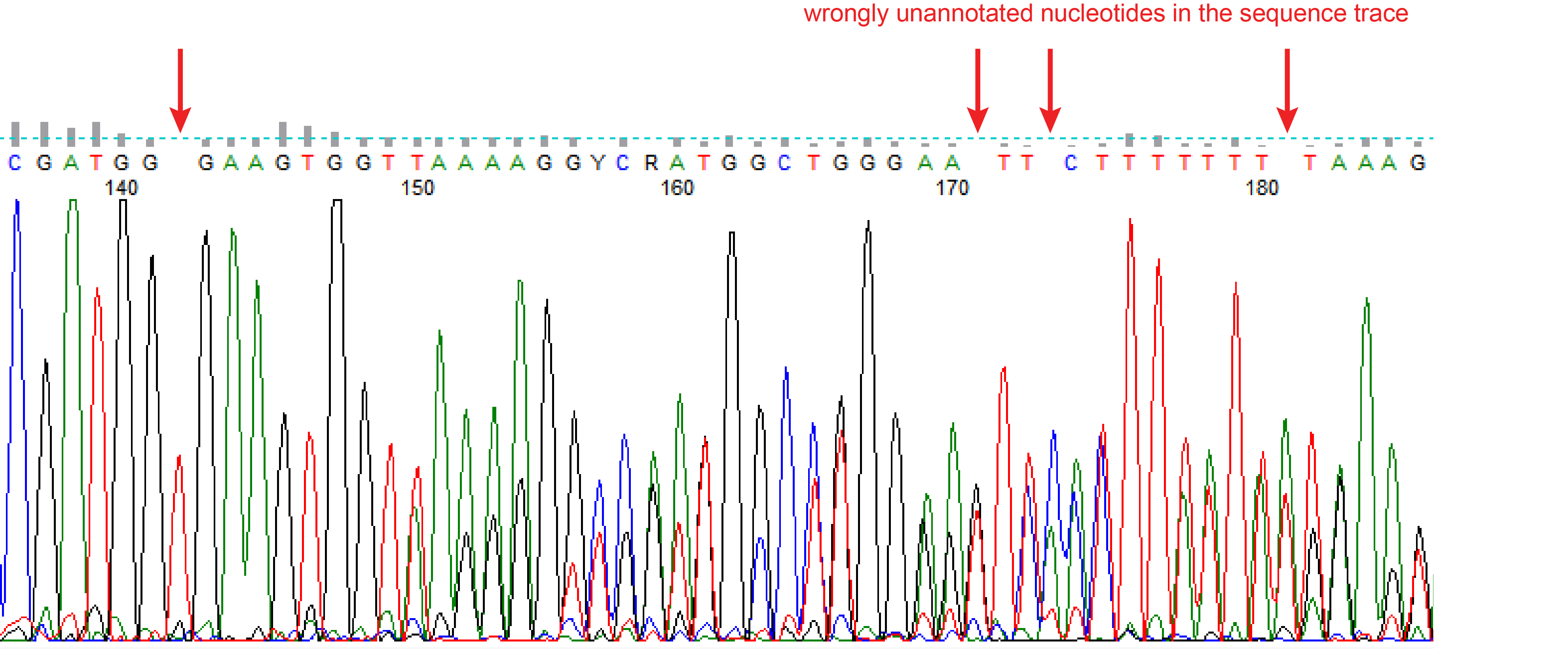 wrongly unannotated nucleotide(s)