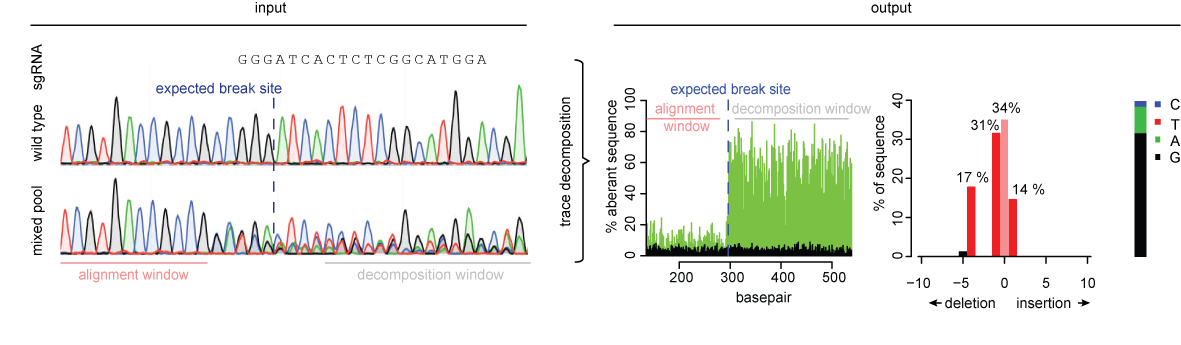 sequence trace