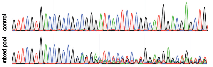 sequence trace