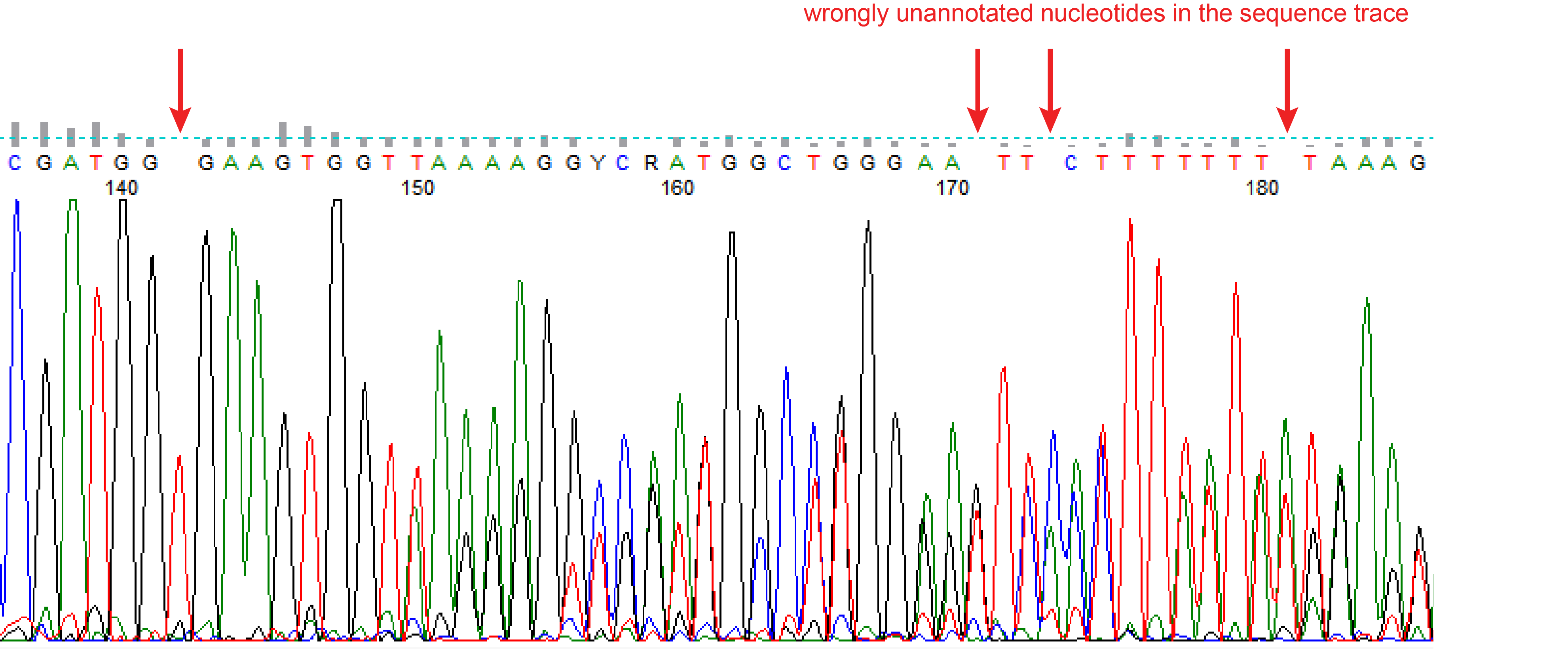 wrongly unannotated nucleotide(s)
