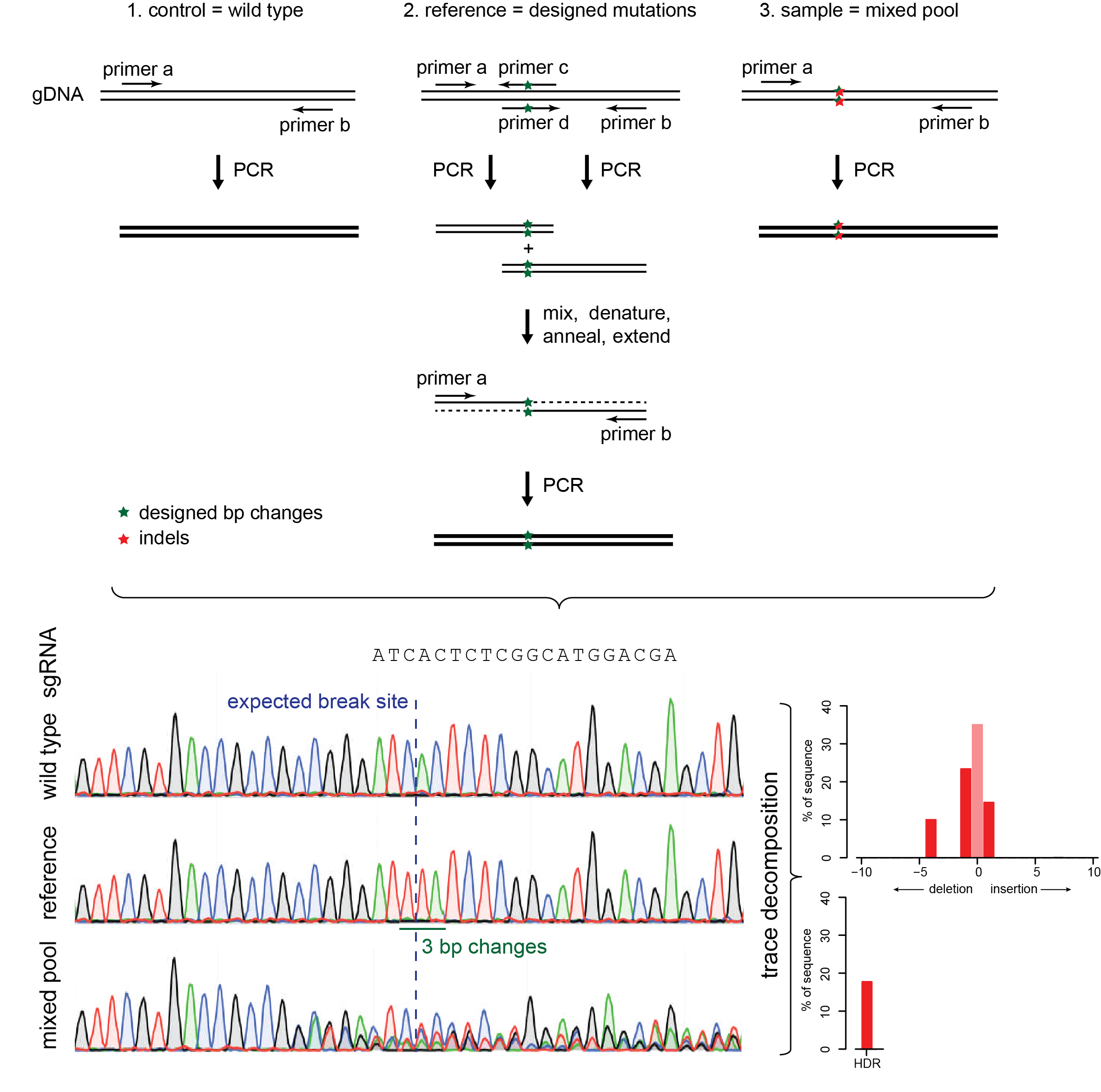 sequence trace