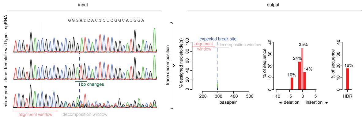 sequence trace