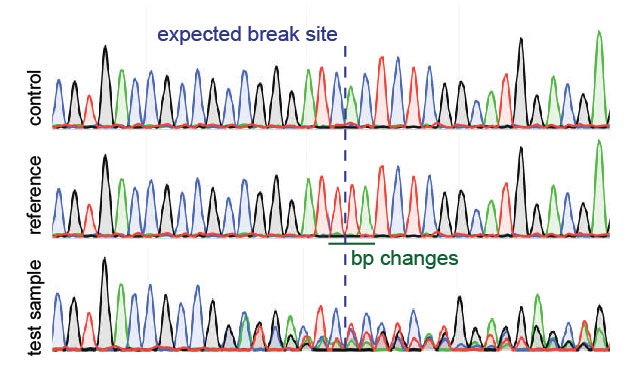 sequence trace